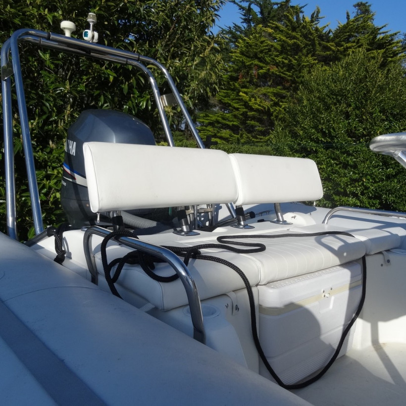 Purchase Rear Seat Backrest Cushion Zodiac Pro Open 650