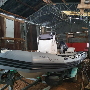 Purchase Zodiac Pro Open 550 winter cover