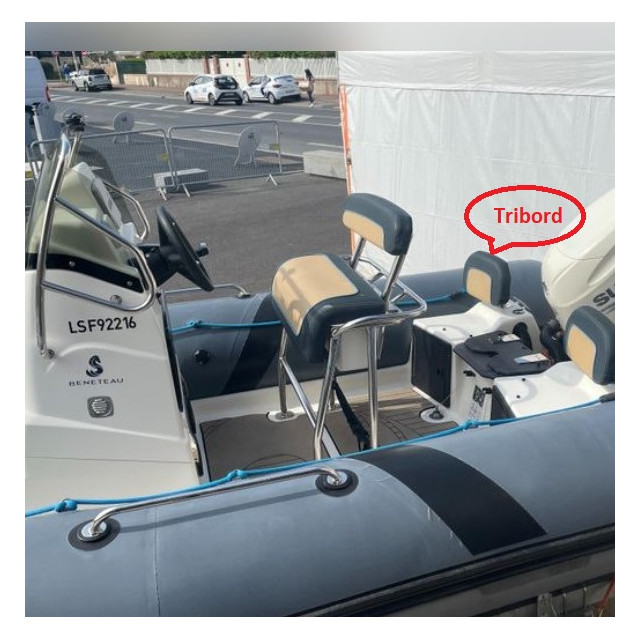 Purchase Right Rear Backrest Cushion Zodiac Pro Open 550