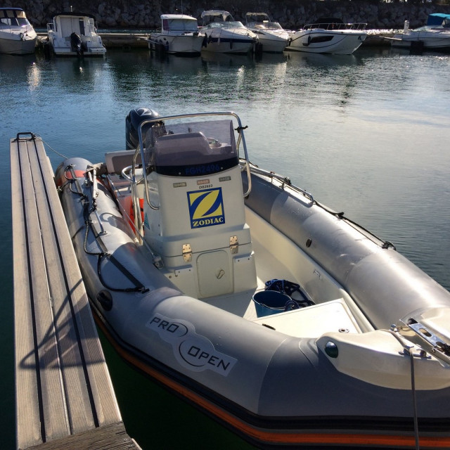Purchase Zodiac Pro Open 650 winter cover