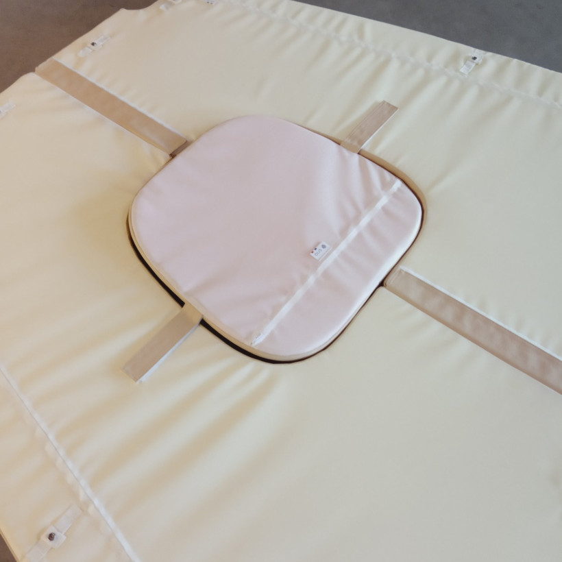 Purchase Sea Ray Sundancer 255 Sun Lounger Cushion