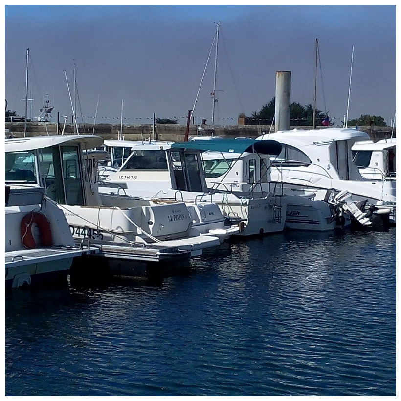 Purchase Bimini Sea Rover 590