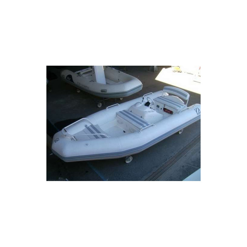 Purchase Zodiac Pro Jet 420 winter cover