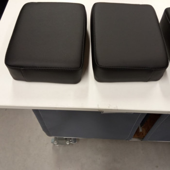 Purchase Cushion for Jockey Zeppelin backrest