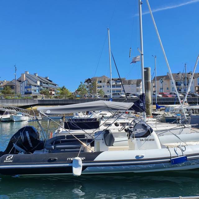 Purchase Bimini Zodiac Medline IV
