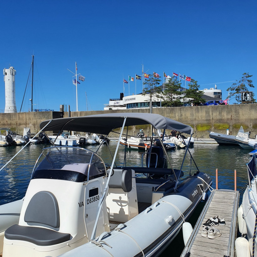 Purchase Bimini Zodiac Medline IV